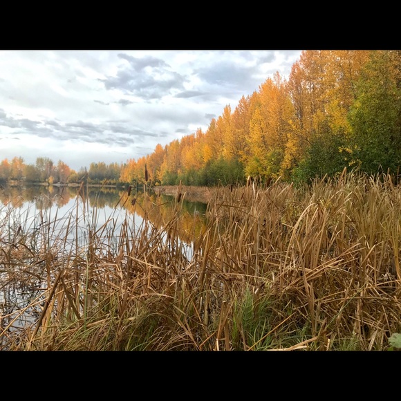 Melissa in Alaska ♥ FASTDOGS - Picture 6 of 14